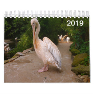 Pelikan- och påfågelkalender kalender