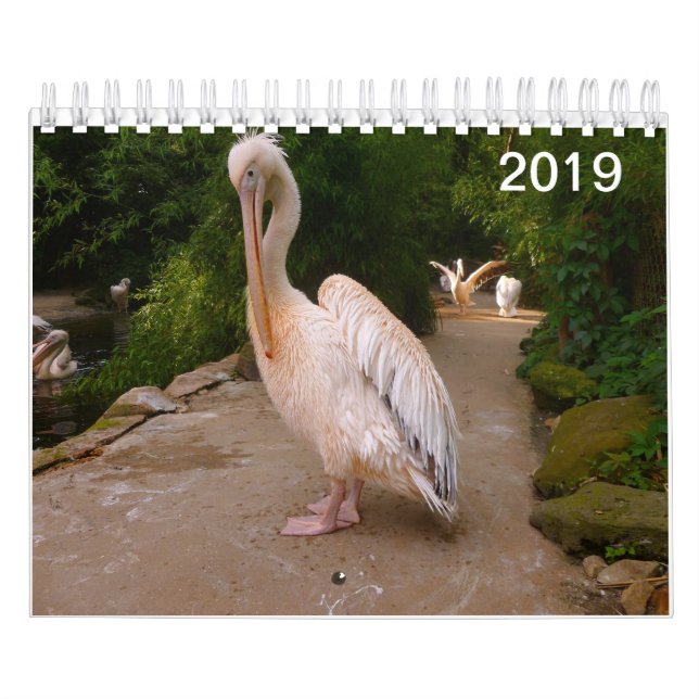 Pelikan- och påfågelkalender kalender (Omslag)