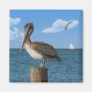 Pelikan på en postamagnet magnet