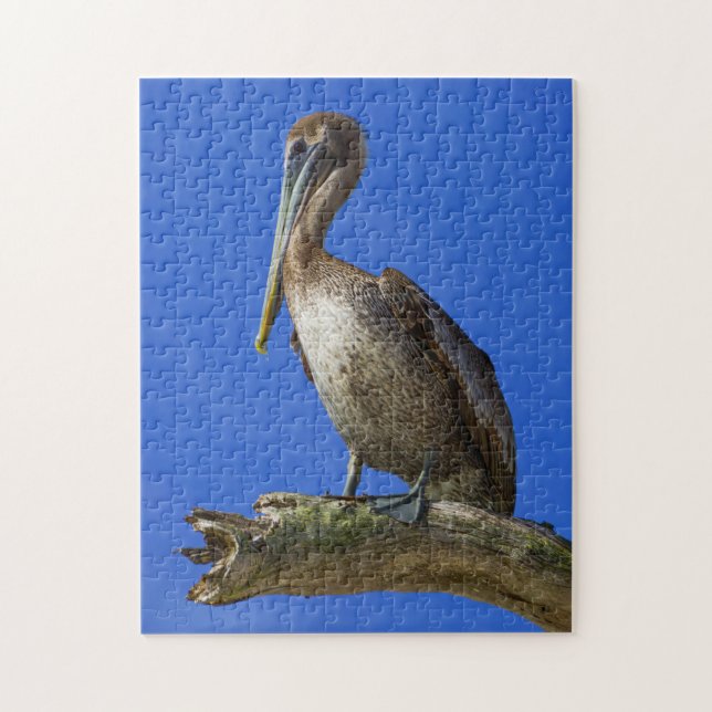 Pelikan på ett limbpussel pussel (Vertikal)