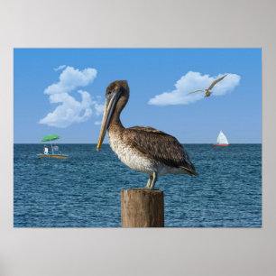 Pelikan på ett postatryck eller Poser Poster