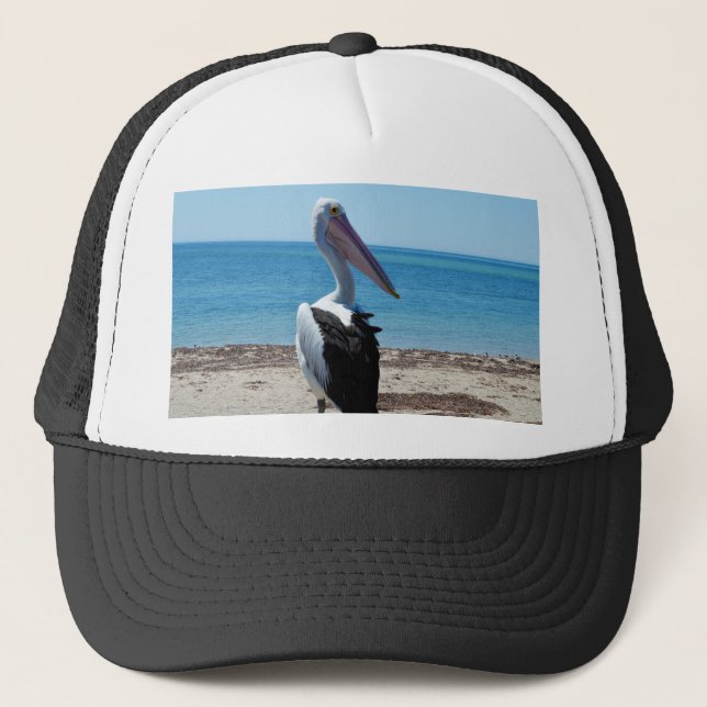 Pelikan på strandklippa, keps (Framsida)