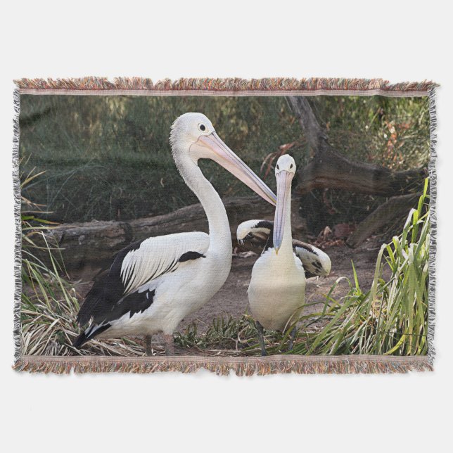 Pelikan på zooen filt (Framsidan)