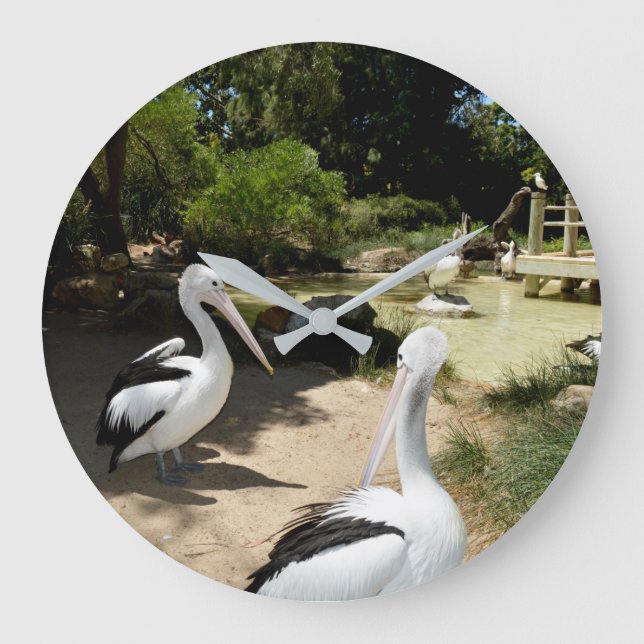 Pelikan Sanctuary, Wall Clock Stor Klocka (Framsida)