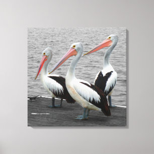 Pelikan Sea Bird Minimalist Färg Pop Fotography Canvastryck