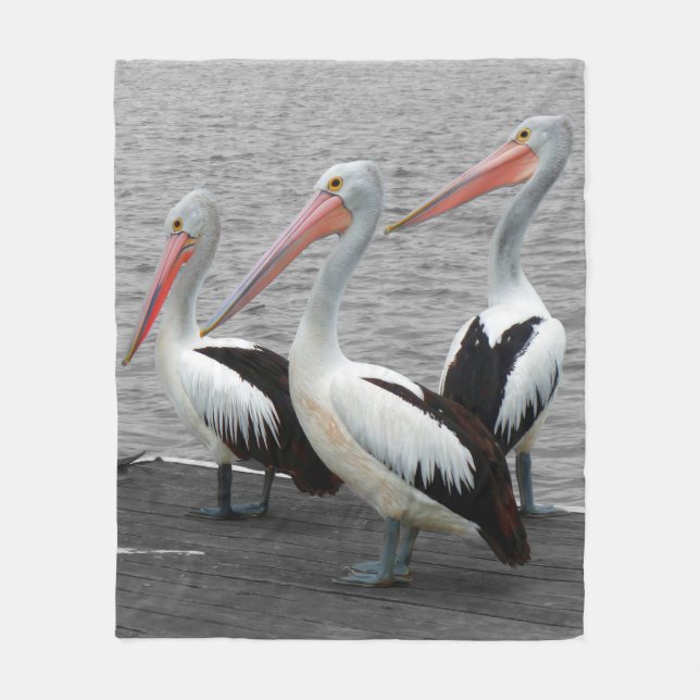 Pelikan Sea Bird Minimalist Färg Pop Fotography Fleecefilt (Framsidan)