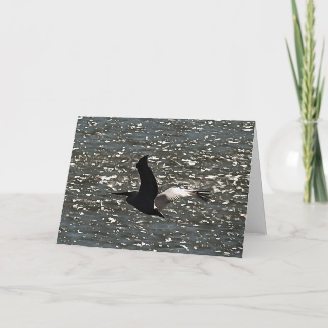 Pelikan som flyger över Shimming Sjö Bafa Kort (Framsida)