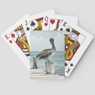 Pelikan som leker kort casinokort