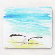 Pelikan som tänjer vingar