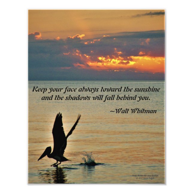 Pelikanavgång vid solnedgången Bukt Kusten Florida Fototryck (Framsidan)