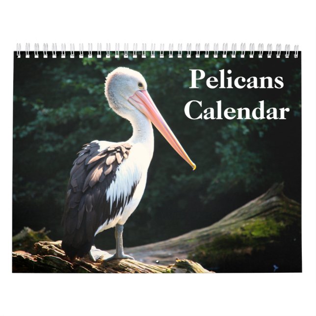 Pelikaner Fågel 2027 Kalender (Omslag)