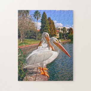 Pelikaner från Florida. Pussel