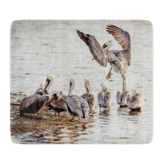 Pelikaner i Bayou Cinter Board