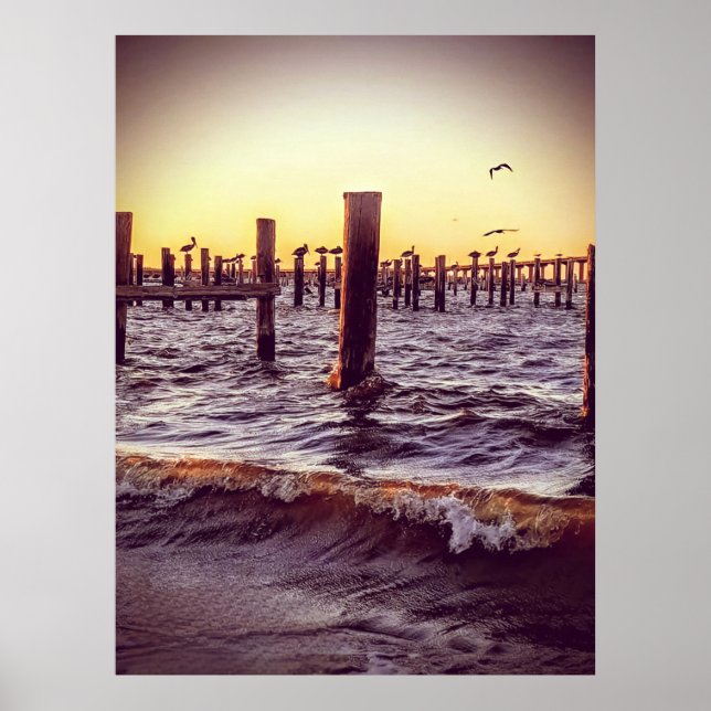 Pelikaner i bukten poster (Framsidan)