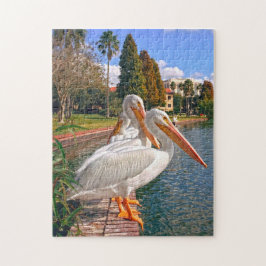 Pelikaner i Florida. Pussel