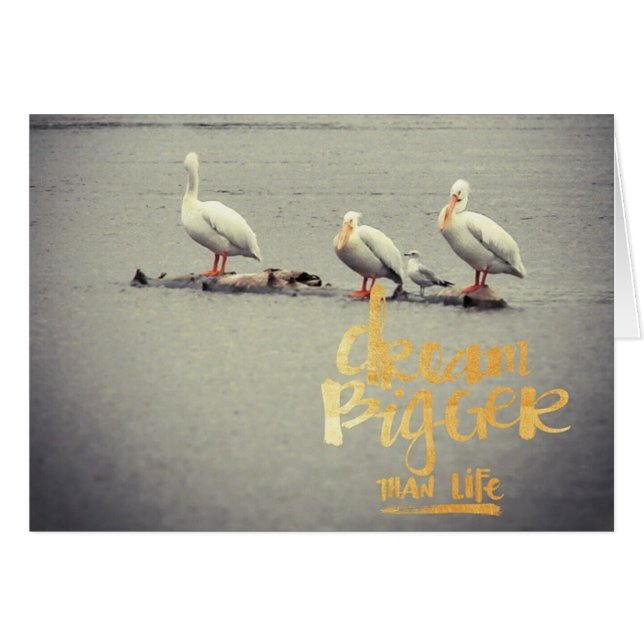 Pelikaner och Fiskmås Dream Bigger Inspiring OBS Kort (Framsidan Horizontal)