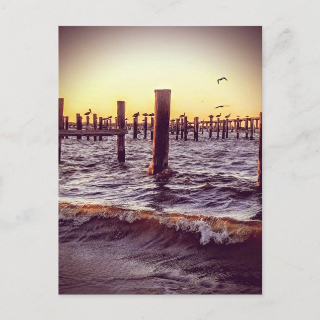 Pelikaner över bukten vid solnedgången vykort (Framsida)