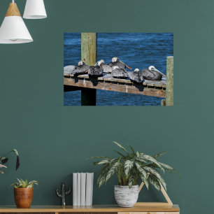 Pelikaner vilar på en hamn poster