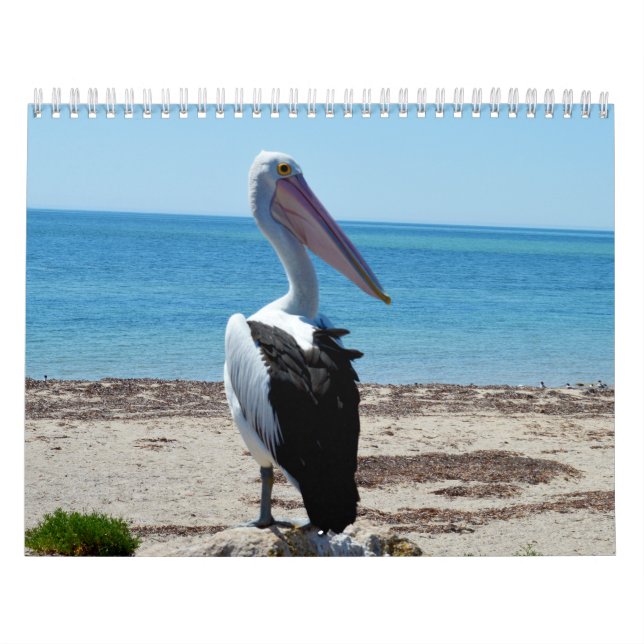 Pelikanernas skönhet 2021, kalender (Omslag)