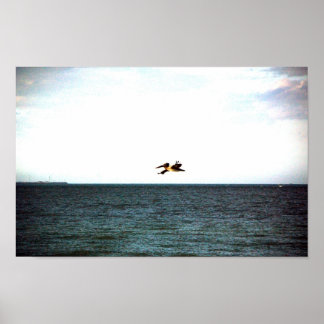 Pelikanflygningen Poster
