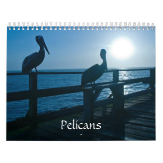 Pelikankalender Kalender