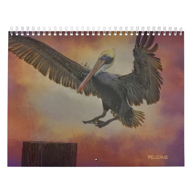 Pelikankalender Kalender (Omslag)