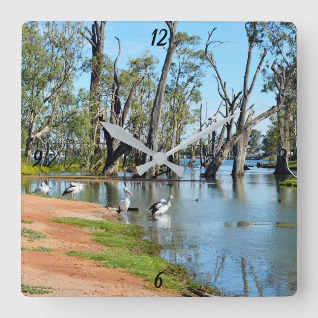Pelikans Sunbaking River Murray, Wall Clock Fyrkantig Klocka (Framsida)