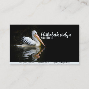 Pelikarfåglar, sjöfåglar vatten visitkort