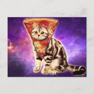 Pellia kattunge vykort