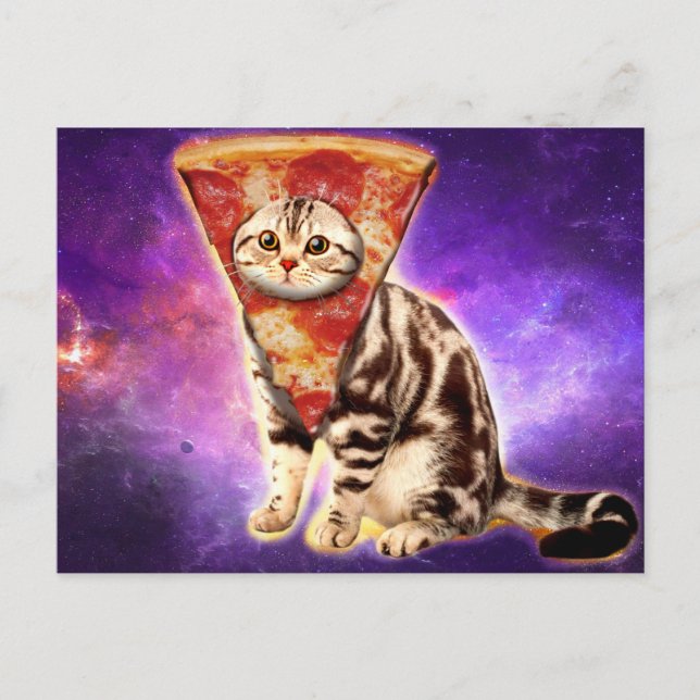 Pellia kattunge vykort (Framsida)