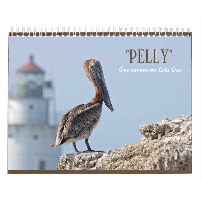 "Pelly - en sommar på Lake Erie" väggkalender Kalender (Omslag)
