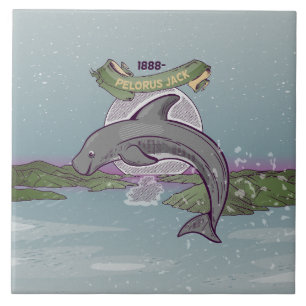 Pelorus Jack New Zealand Dolphin Kakelplatta