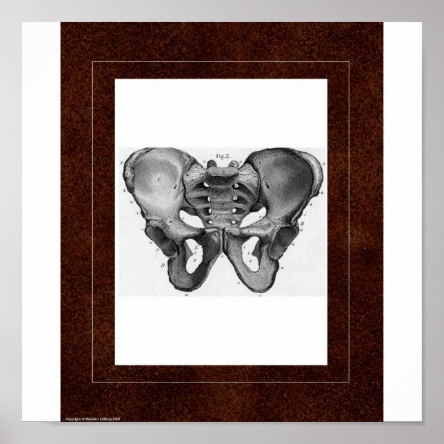 Pelvis Spirit House Poster (Framsidan)