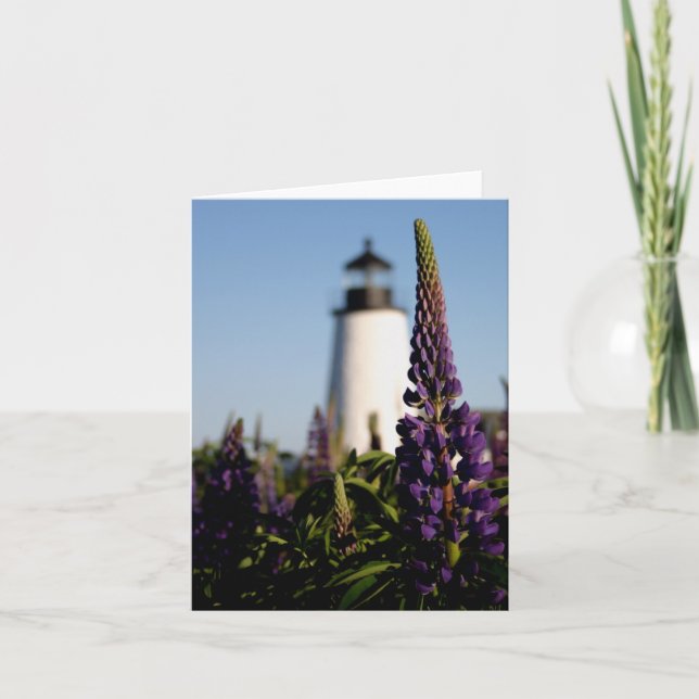 Pemaquid lupines anteckningskort (Framsida)
