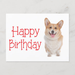 Pembroke Corgi Puppy Hund vykort