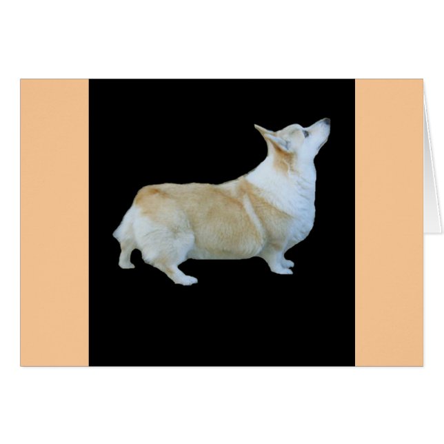 Pembroke Welsh Corgi Hälsningskort (Framsidan Horizontal)