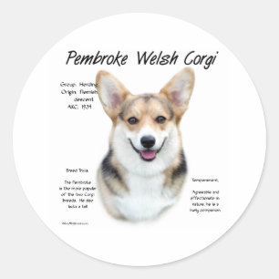 Pembroke Welsh Corgi Historia Design Runt Klistermärke