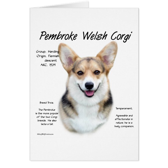 Pembroke Welsh Corgi Historik design Hälsningskort (Framsidan)
