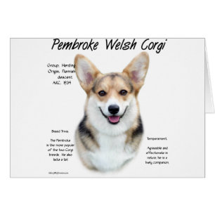 Pembroke Welsh Corgi Historik design Hälsningskort