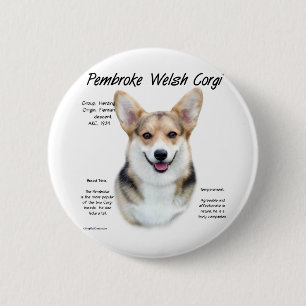 Pembroke Welsh Corgi Historik design Knapp
