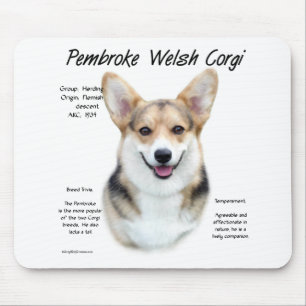 Pembroke Welsh Corgi Historik design Musmatta