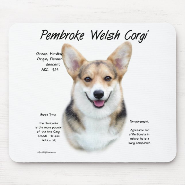 Pembroke Welsh Corgi Historik design Musmatta (Framsidan)
