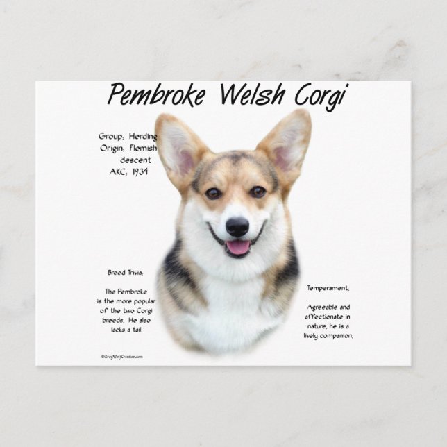 Pembroke Welsh Corgi Historik design Vykort (Framsida)
