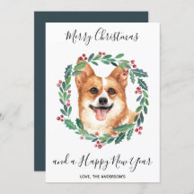Pembroke Welsh Corgi Hund Elegant God jul