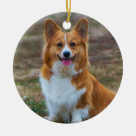 Pembroke Welsh corgi Hund Julgransprydnad Keramik