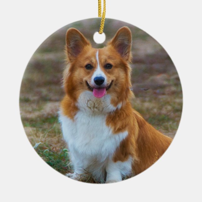 Pembroke Welsh corgi Hund Julgransprydnad Keramik (Framsidan)