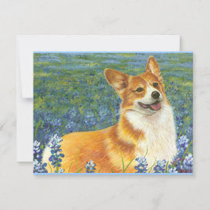 Pembroke Welsh Corgi i Texas Bluebonnet