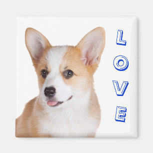 Pembroke Welsh Corgi Kärlek-kylskåp Magnet