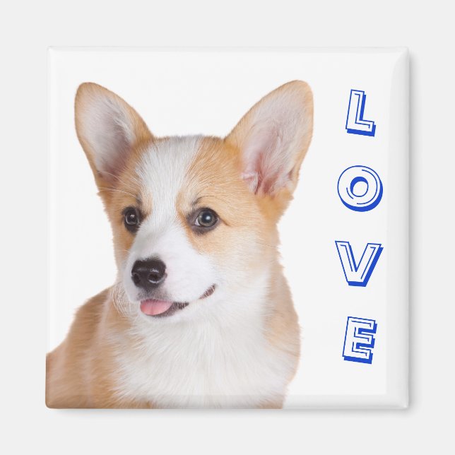 Pembroke Welsh Corgi Kärlek-kylskåp, magnet (Framsidan)