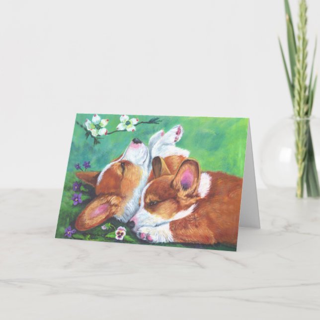 Pembroke Welsh Corgi Kort (Framsida)